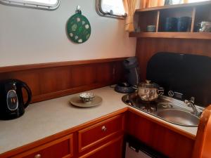 阿姆斯特丹Motor Yacht Amazone的小厨房配有炉灶和水槽