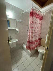 埃格尔Hotel Minaret&Étterem的一间带卫生间和淋浴帘的浴室