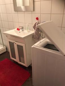 克拉格勒Taras Rom og leiligheter的一间带水槽和洗衣机的浴室