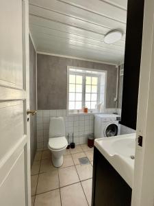 滕斯贝格Idyllic small farm appartment的浴室配有白色卫生间和盥洗盆。