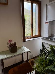 Pian dʼOrsinaCasa Piglione的厨房设有窗户和植物桌子
