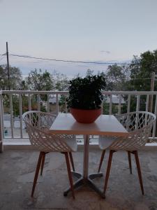索吉亚Zorbas的阳台上的桌子上放着盆栽植物