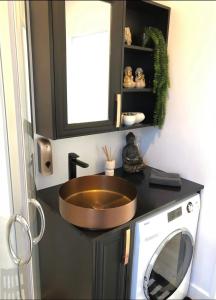 Egmont VillageTiny Home Luxury Farm Escape的一间带水槽和洗衣机的浴室