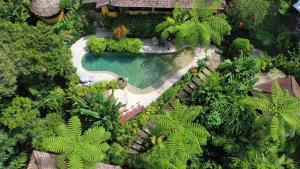 Blimbing萨林布瓦纳生态旅馆 的花园游泳池的顶部景色