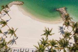 克利尔沃特JW Marriott Clearwater Beach Resort & Spa的享有棕榈树海滩和大海的空中景致