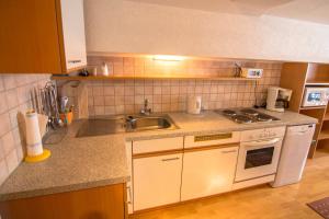 玛丽亚-卢高Guggenbergerhof的厨房配有水槽和炉灶 顶部烤箱
