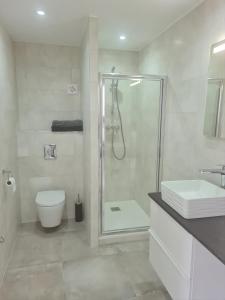 马赛Bas de villa au calme的带淋浴、卫生间和盥洗盆的浴室