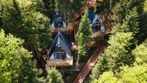 特拉布宗Montana Suite Bungalows的森林中树屋的空中景观