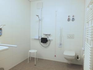 奥贝里德Barrierefreies Apartment Ursulinenhof的带淋浴、卫生间和盥洗盆的浴室