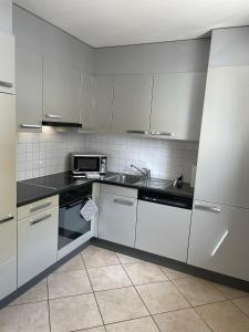 洛迦诺Appartamento 464 nel CUORE di Locarno con piscina的白色的厨房配有水槽和微波炉