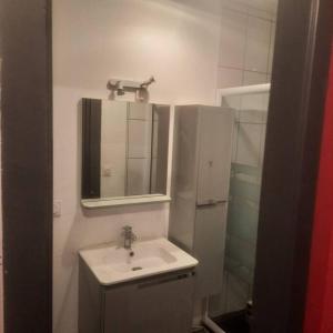 唐莱沃斯热F2 Mass & Bo的一间带水槽、镜子和淋浴的浴室