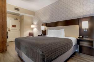 新奥尔良圣克里斯托弗贝斯特韦斯特酒店的酒店客房带一张大床和一把椅子
