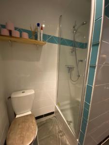 桑加特Le jardin secret的一间带卫生间和淋浴的浴室