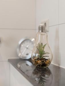 罗滕堡Apartment / Ferienwohnungen Christ的玻璃瓶,上面有植物,放在桌子上,有时钟