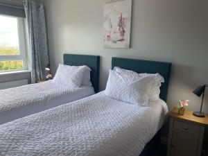 贝尔法斯特Hastings Apartments Extra Large Self Catering Apt Tourism Certified Free Parking WiFi的一间卧室设有两张带白色床单的床和窗户。