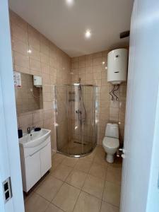 谢赫维蒂利Aparthotel Majak Shekvetili的带淋浴、卫生间和盥洗盆的浴室