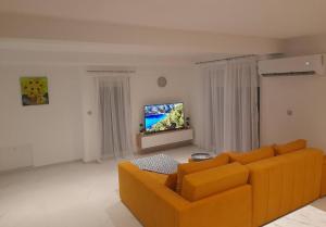 IlindenJan-Air的客厅配有橙色沙发和平面电视。