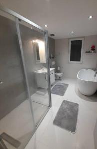 IlindenJan-Air的带淋浴、盥洗盆和卫生间的浴室