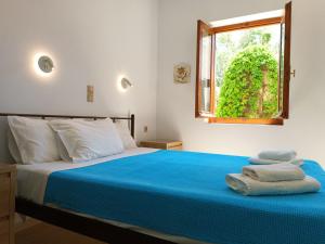 干尼亚伊梅洛斯酒店的一间卧室配有一张带蓝色床单的床和一扇窗户。