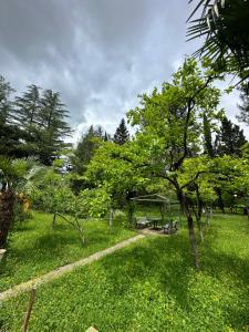 库塔伊西艾默里公园酒店的一个带野餐桌和树木的绿色庭院