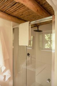斯坦福Stanford Valley Country Lodge的浴室里设有玻璃门淋浴