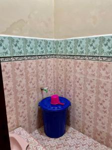 MandatiElnara的一间用红色盖子装着蓝色垃圾桶的浴室