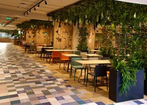 蒂米什瓦拉Amazonia Apartments的一间设有桌椅的餐厅,种植了植物