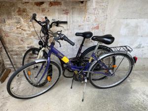 埃佩尔奈Le Loft Vintage Epernay avec Netflix, Vélos, Parking gratuit的两辆自行车停在彼此的墙上