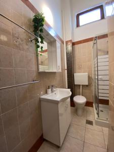 普纳特Apartments Natasa的浴室配有卫生间、盥洗盆和淋浴。