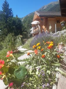 阿雷什Le Refuge des Marmottes的一座花园,在房子前种有鲜花