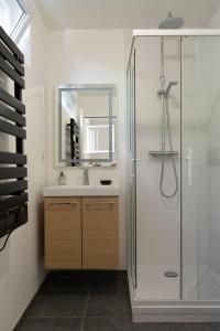马赛LE PETIT NID DES CHUTES LAVIES的一间带水槽和淋浴的浴室