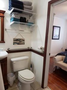 安德森Cozy 2 bedroom 1 bath unit的浴室配有白色卫生间和盥洗盆。