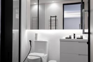 清迈DUM Hotel - Si Phum的一间带卫生间、水槽和镜子的浴室