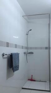 勾芒普莱奇Chez Ayedi - central and familiar atmosphere next to beach的浴室设有玻璃淋浴间和毛巾