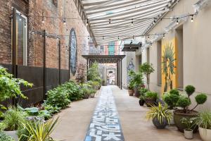 纽约UNTITLED 3 Freeman Alley的建筑中带有盆栽植物的走廊