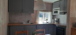 Stöllet比约克伯露营酒店的厨房配有灰色橱柜、水槽和窗户。