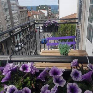 锡列达Precioso piso en el centro de Galicia.的阳台种有紫色花卉和紫色长凳