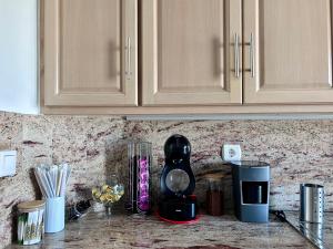 拉夫里翁Luxury Port View的厨房台面上配有咖啡壶