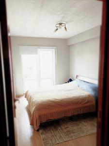 布鲁塞尔Cozy 2 bedroom apartment - metro Montgomery的一间卧室设有一张床和一个窗口