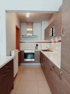 布鲁塞尔Cozy 2 bedroom apartment - metro Montgomery的一个带木制橱柜和水槽的大厨房