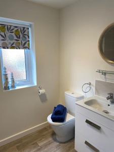 伊利Comfortable new home in Isleham的一间带卫生间、水槽和窗户的浴室