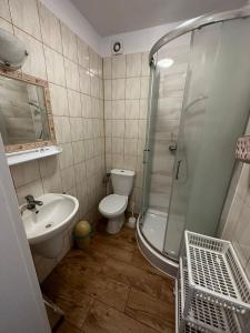 波别罗沃Dom pod Sosnami的浴室配有卫生间、淋浴和盥洗盆。