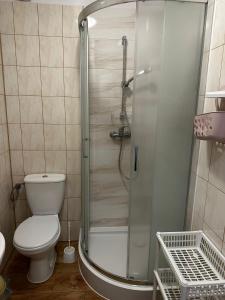 波别罗沃Dom pod Sosnami的带淋浴、卫生间和盥洗盆的浴室
