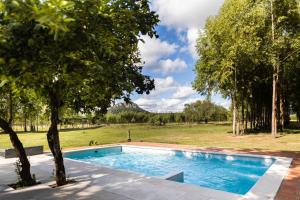 巴拉瓜里La Maria Casa Campo的一座树木繁茂的庭院内的游泳池