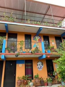 瓦哈卡市El Rincón de Doña Bety的阳台上种植了盆栽植物的建筑