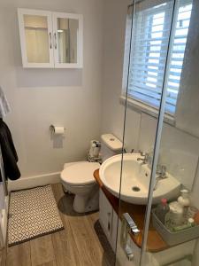 普里茅斯The Vottage - 3 bed cottage的白色的浴室设有卫生间和水槽。