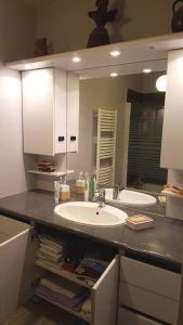 叙雷纳Appartement tout équipé pour 4per parking privatif的一间带水槽和镜子的浴室