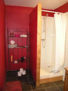 滑铁卢后花园公寓的红色的浴室设有淋浴和浴缸。