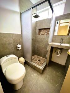 奥克萨潘帕Colina Haus, casa vacacional Oxa的带淋浴、卫生间和盥洗盆的浴室