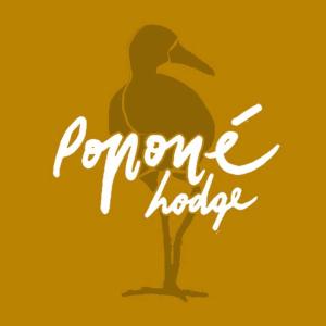 瓜皮莱斯Poponé Farm & Lodge的一只鸭子站在树上,用宣传技术的话说
